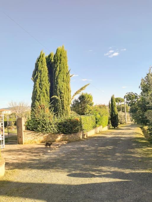 Villetta Rio, Large Private Garden Cecina (Livorno) Εξωτερικό φωτογραφία